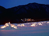 photo：Snow Fireflies