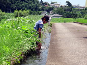 写真：田んぼの水に浸かる子ども