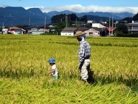 写真：田んぼの中を歩く幼い子どもと大人