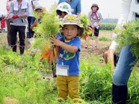 収穫した野菜を抱えた男の子の写真
