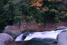 写真：鱒飛の滝