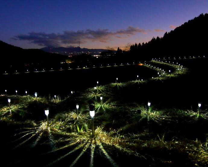 写真：石墨棚田のライトアップの写真