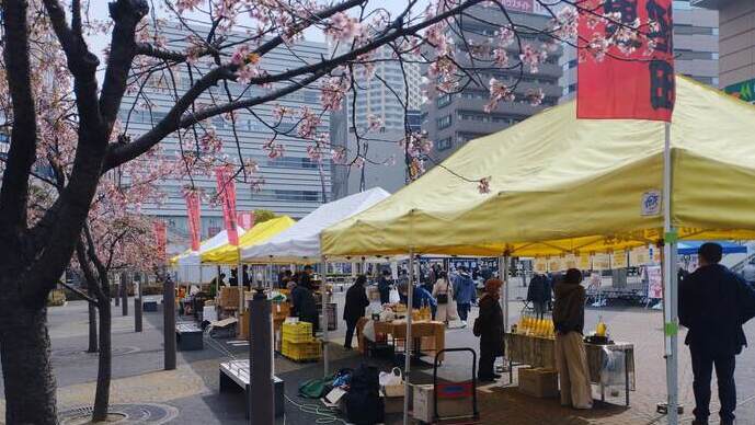 桜と物産テント