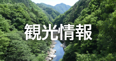 観光情報
