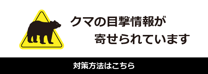 熊出没注意
