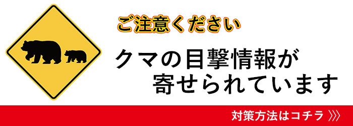 熊出没注意