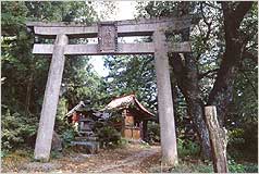 写真：戸鹿野八幡宮