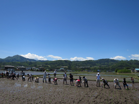 写真：田植え5