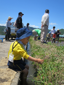 写真：田植え6