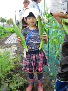 写真：野菜の収穫2