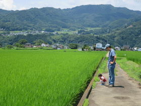 写真：かえる捕り1