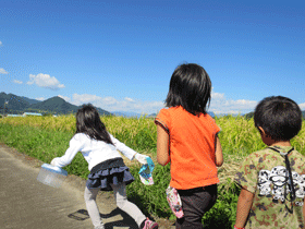 写真：虫取り