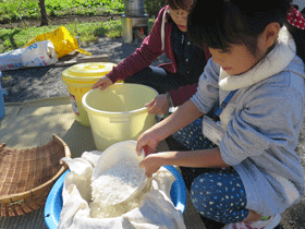 写真：餅米を竈で蒸かす作業1