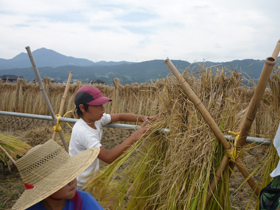 写真：はってがけ作業1