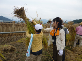 写真：はってがけ作業2