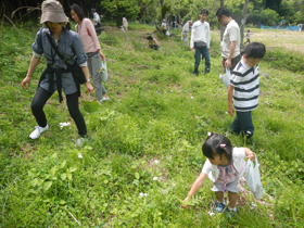 写真：わらび狩りをする参加者たち