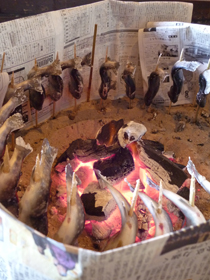 写真：炭火で焼く岩魚