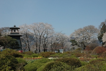 画像：沼田公園鐘楼春風景