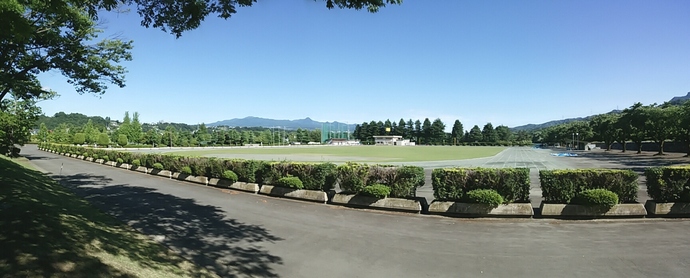 画像：運動公園陸上競技場