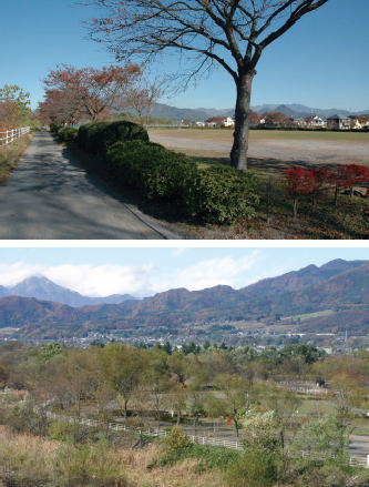 写真：利根川河川広場全景