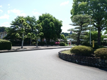 画像：駅西公園歩道