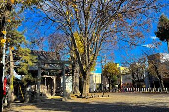 写真：天王公園全景