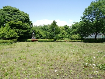 写真：荘田城址公園上段