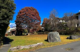 写真：さぎいし公園南側