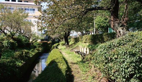 写真：城堀川緑地（第三管理区）