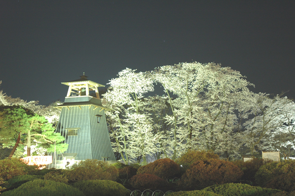 写真：沼田公園ライトアップ1