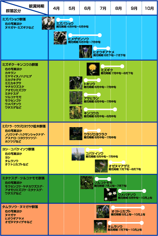 画像：玉原湿原植生一覧の画像