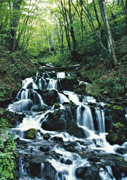 写真：強清水の滝