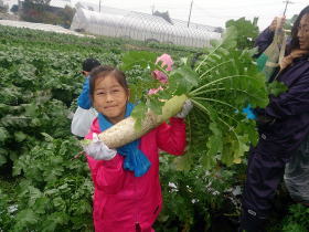 大根を持った女の子の写真