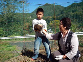 掘り出したこんにゃく芋を子どもが抱えた写真