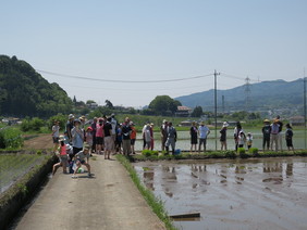 田んぼに集合