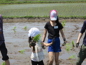 手も足も泥だらけ