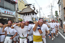 写真：須賀神社みこし