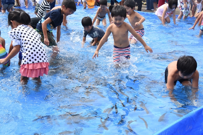 魚つかみどりの写真