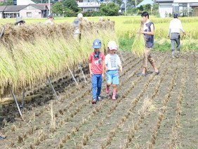 稲刈りあと少しで終わり