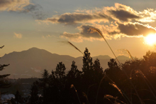 写真：子持山