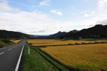 写真：秋の田園風景1