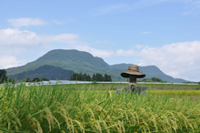 写真：秋の田園風景2