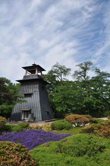 写真：沼田公園（夏）