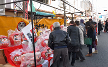 写真：だるま市