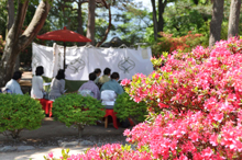 写真：花の大茶会