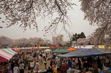 写真：桜まつりメーンイベント