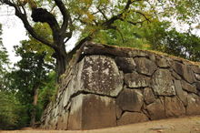 写真：沼田公園（石垣）1