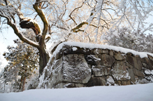 写真：沼田公園（石垣）2