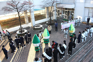 写真：活動を上から撮影