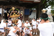 写真：須賀神社みこし